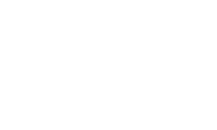 Holovis